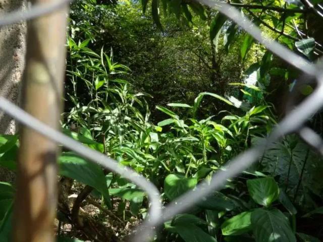 Terreno / Lote para Venda em Porto Alegre/RS Espírito Santo