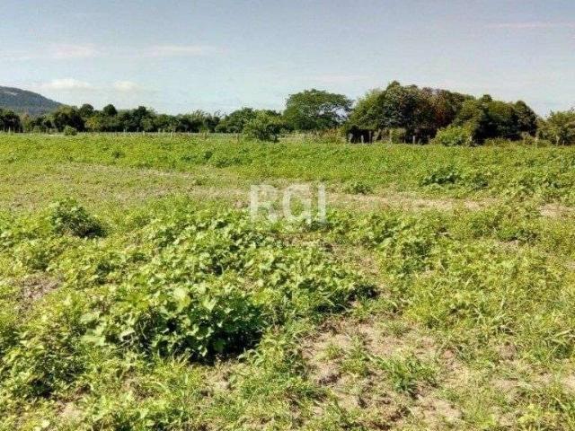 Terreno / Lote para Venda em Porto Alegre/RS Extrema
