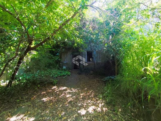 Terreno / Lote para Venda em Porto Alegre/RS Floresta