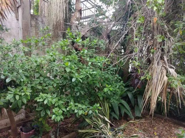 Terreno / Lote para Venda em Porto Alegre/RS Glória