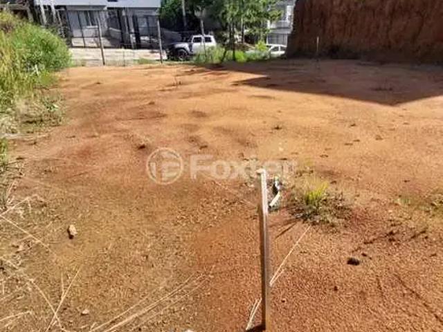 Terreno / Lote para Venda em Porto Alegre/RS Guarujá