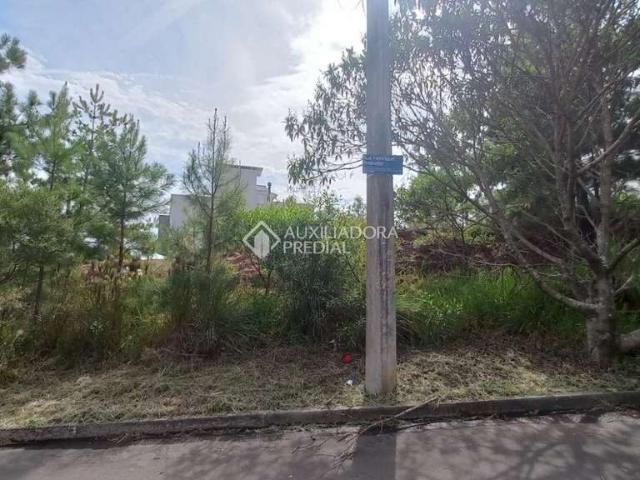 Terreno / Lote para Venda em Porto Alegre/RS Guarujá