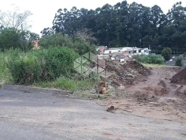 Terreno / Lote para Venda em Porto Alegre/RS Guarujá