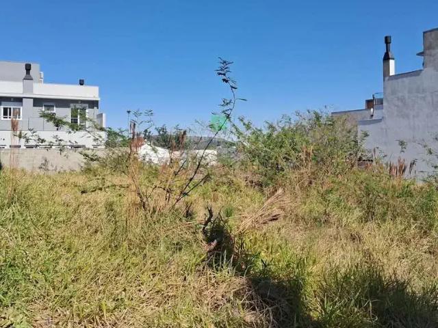 Terreno / Lote para Venda em Porto Alegre/RS Guarujá