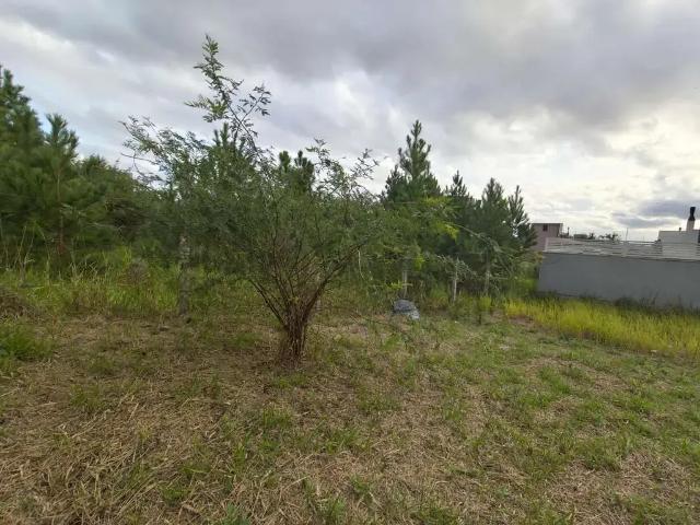 Terreno / Lote para Venda em Porto Alegre/RS Guarujá