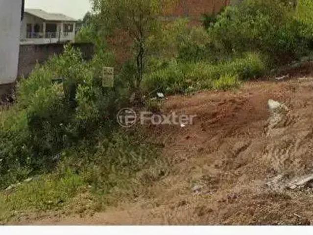 Terreno / Lote para Venda em Porto Alegre/RS Guarujá