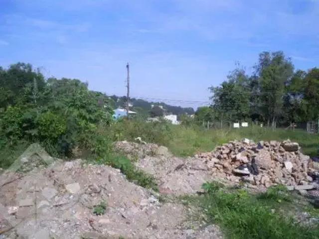 Terreno / Lote para Venda em Porto Alegre/RS Guarujá
