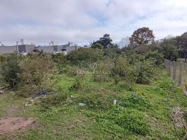Terreno / Lote para Venda em Porto Alegre/RS Guarujá