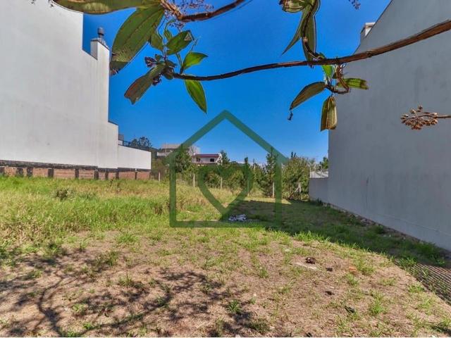 Terreno / Lote para Venda em Porto Alegre/RS Guarujá