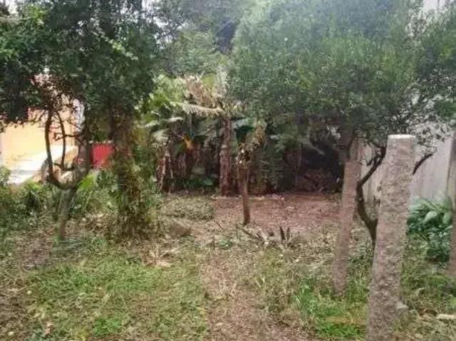 Terreno / Lote para Venda em Porto Alegre/RS Ipanema