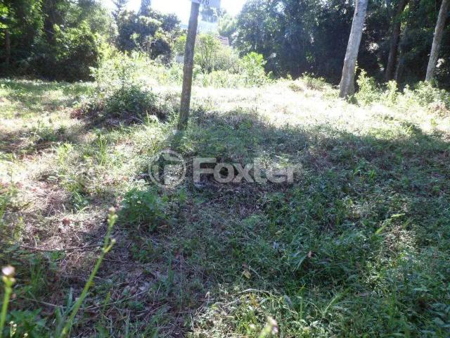 Terreno / Lote para Venda em Porto Alegre/RS Ipanema