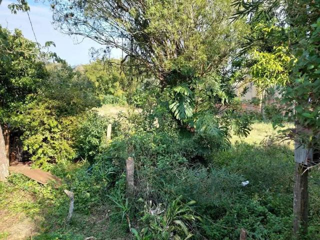 Terreno / Lote para Venda em Porto Alegre/RS Ipanema