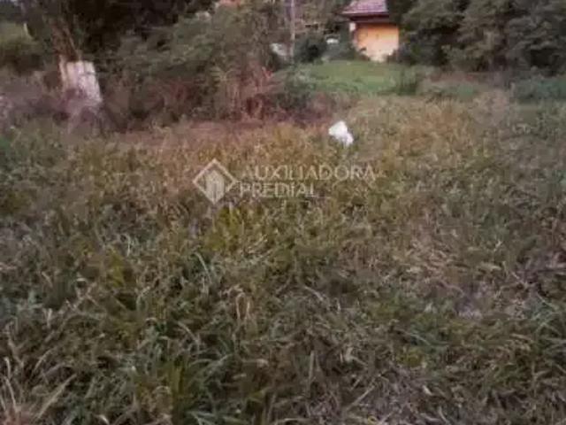 Terreno / Lote para Venda em Porto Alegre/RS Ipanema