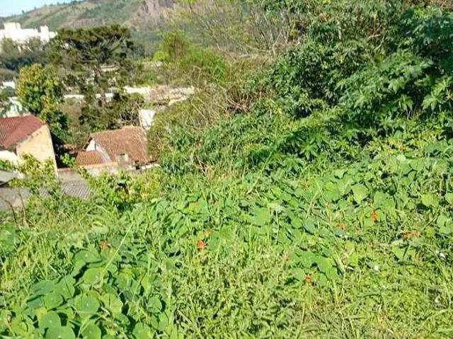 Terreno / Lote para Venda em Porto Alegre/RS Jardim Carvalho