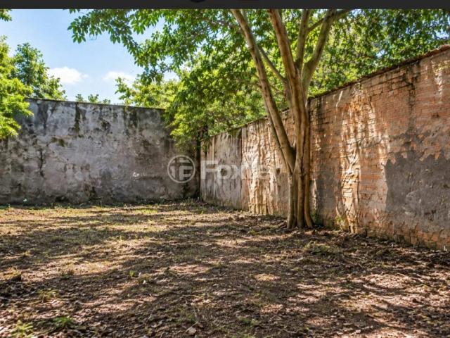 Terreno / Lote para Venda em Porto Alegre/RS Jardim Floresta