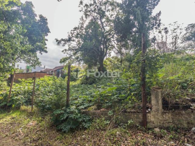 Terreno / Lote para Venda em Porto Alegre/RS Jardim Floresta