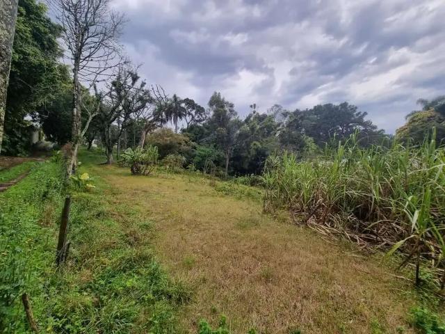 Terreno / Lote para Venda em Porto Alegre/RS Jardim Isabel
