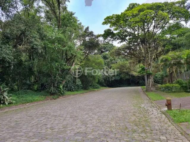 Terreno / Lote para Venda em Porto Alegre/RS Jardim Isabel