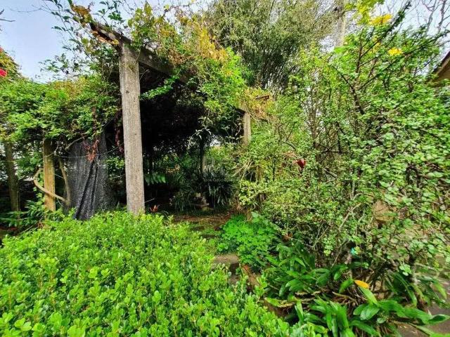 Terreno / Lote para Venda em Porto Alegre/RS Jardim Isabel
