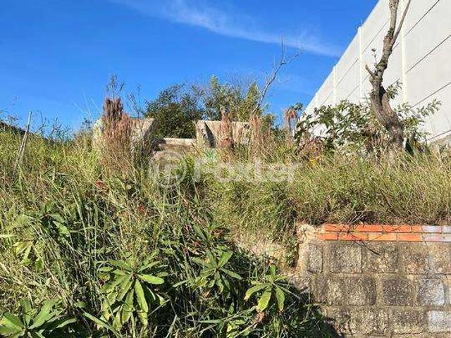 Terreno / Lote para Venda em Porto Alegre/RS Jardim Leopoldina