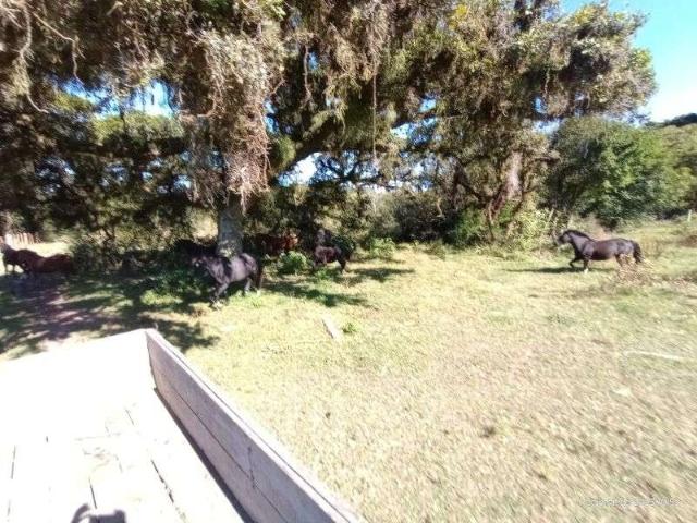 Terreno / Lote para Venda em Porto Alegre/RS Lami