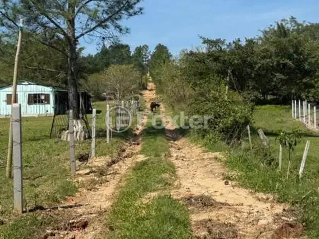 Terreno / Lote para Venda em Porto Alegre/RS Lami