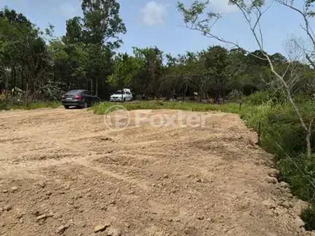 Terreno / Lote para Venda em Porto Alegre/RS Lami