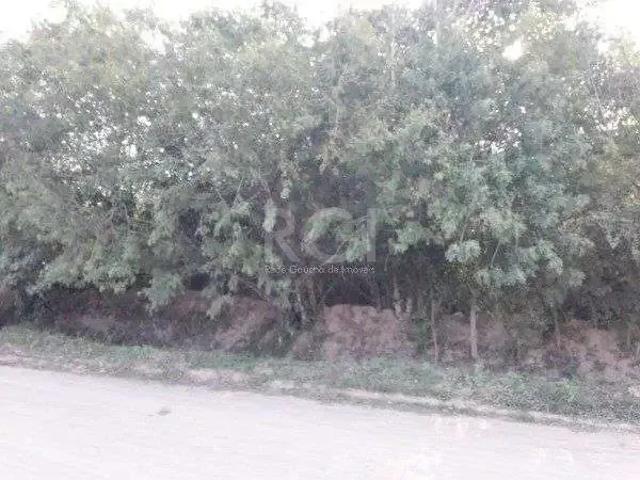 Terreno / Lote para Venda em Porto Alegre/RS Lami