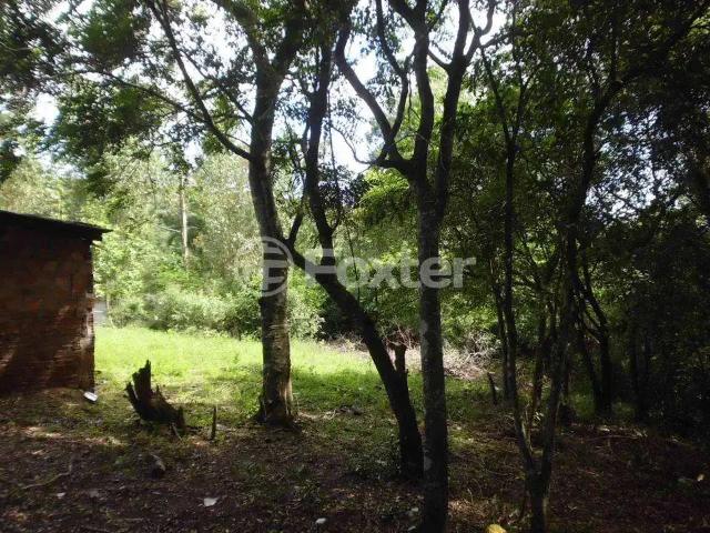 Terreno / Lote para Venda em Porto Alegre/RS Lami