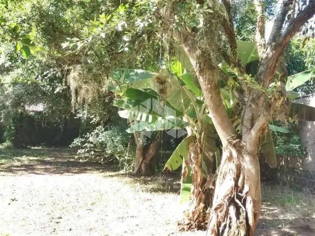 Terreno / Lote para Venda em Porto Alegre/RS Lami