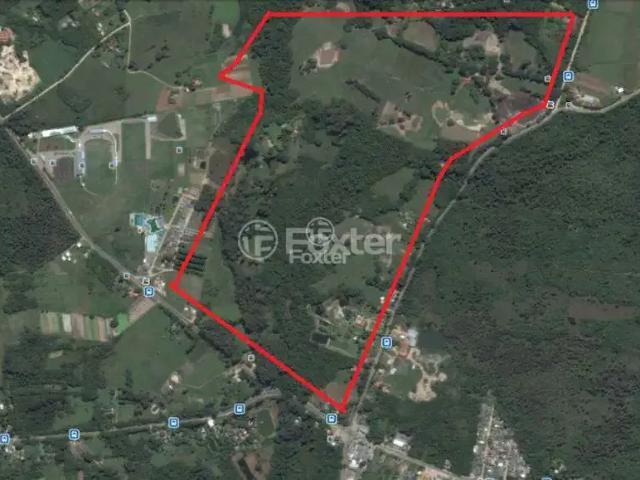Terreno / Lote para Venda em Porto Alegre/RS Lami
