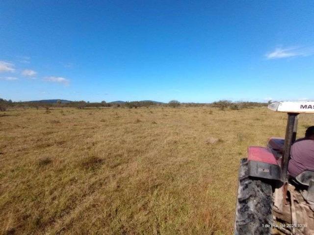 Terreno / Lote para Venda em Porto Alegre/RS Lami