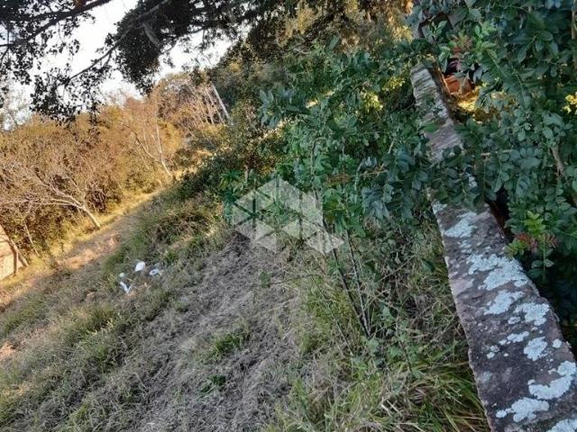 Terreno / Lote para Venda em Porto Alegre/RS Lageado