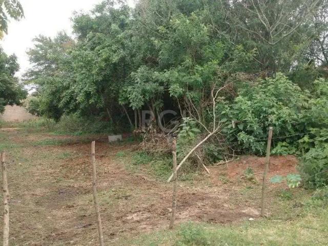 Terreno / Lote para Venda em Porto Alegre/RS Lageado