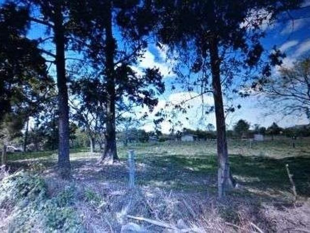Terreno / Lote para Venda em Porto Alegre/RS Lageado
