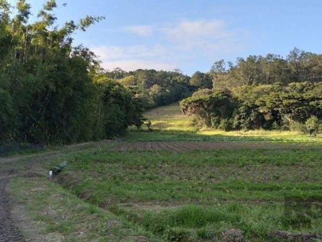 Terreno / Lote para Venda em Porto Alegre/RS Lageado