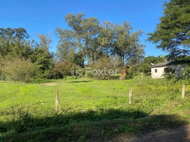 Terreno / Lote para Venda em Porto Alegre/RS Lageado
