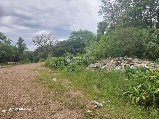 Terreno / Lote para Venda em Porto Alegre/RS Lomba do Pinheiro 1 Quartos