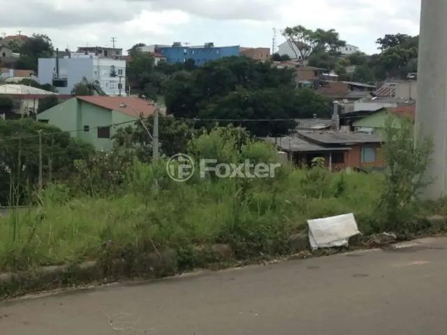 Terreno / Lote para Venda em Porto Alegre/RS Mário Quintana