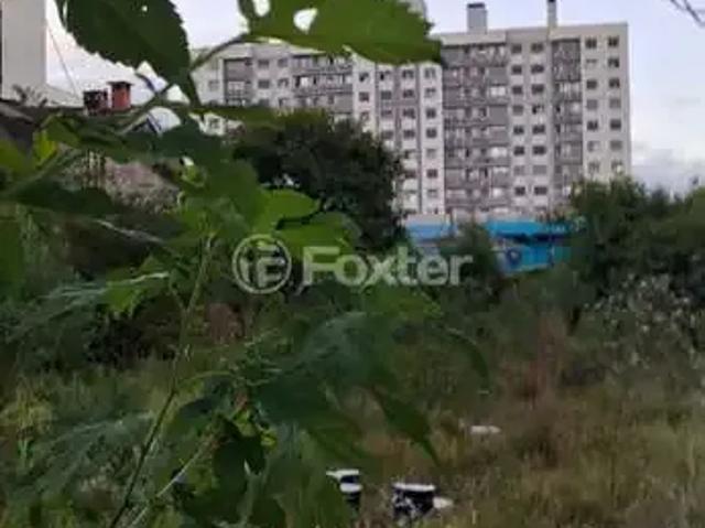 Terreno / Lote para Venda em Porto Alegre/RS Menino Deus
