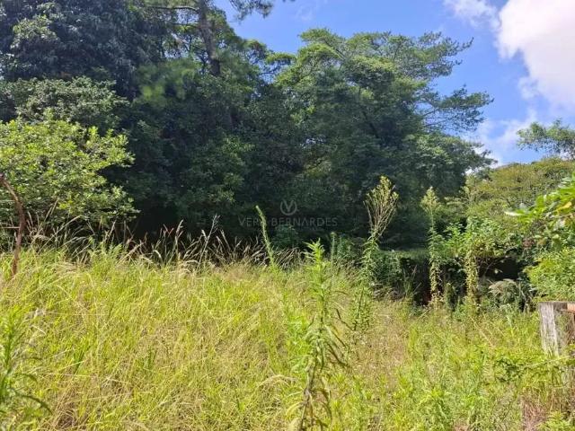 Terreno / Lote para Venda em Porto Alegre/RS Menino Deus