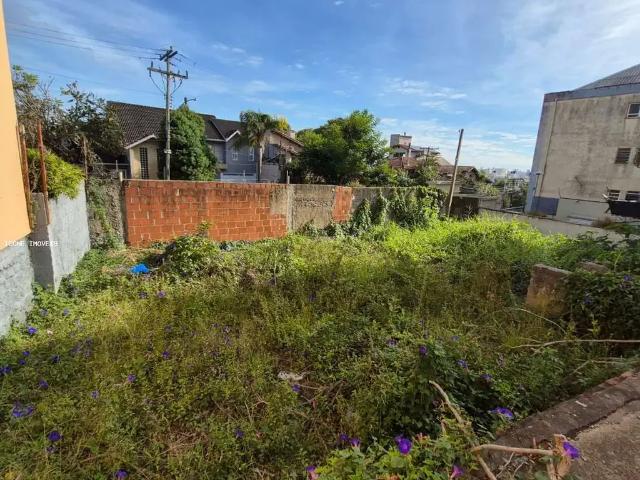 Terreno / Lote para Venda em Porto Alegre/RS Menino Deus