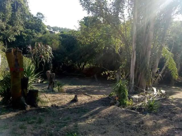 Terreno / Lote para Venda em Porto Alegre/RS Morro Santana