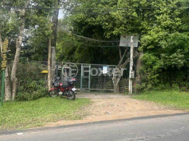 Terreno / Lote para Venda em Porto Alegre/RS Morro Santana 5 Quartos
