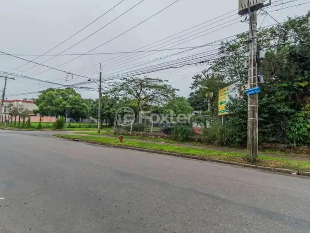 Terreno / Lote para Venda em Porto Alegre/RS Nonoai
