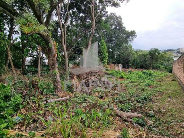 Terreno / Lote para Venda em Porto Alegre/RS Nonoai