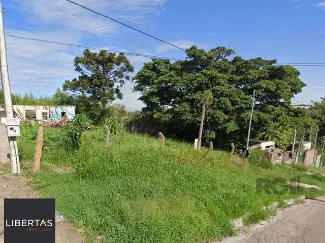 Terreno / Lote para Venda em Porto Alegre/RS Nonoai