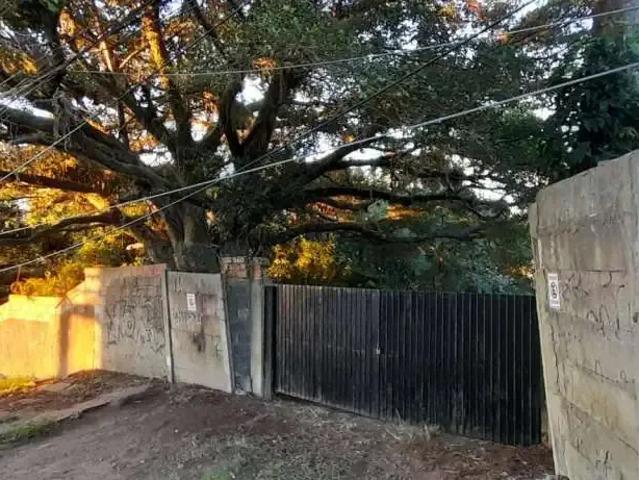 Terreno / Lote para Venda em Porto Alegre/RS Nonoai