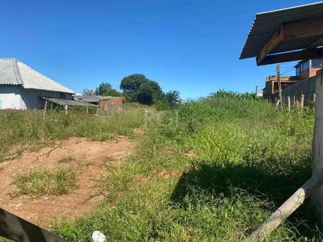 Terreno / Lote para Venda em Porto Alegre/RS Nonoai