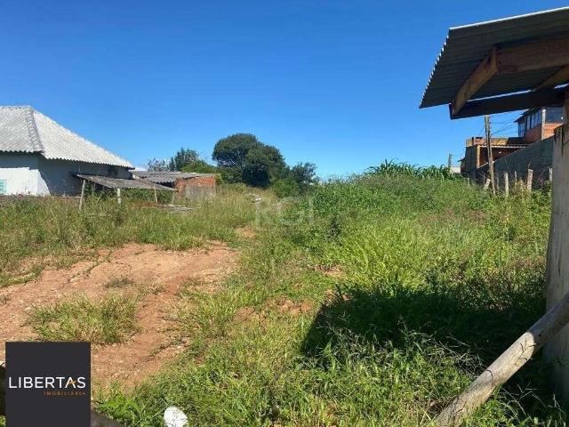 Terreno / Lote para Venda em Porto Alegre/RS Nonoai